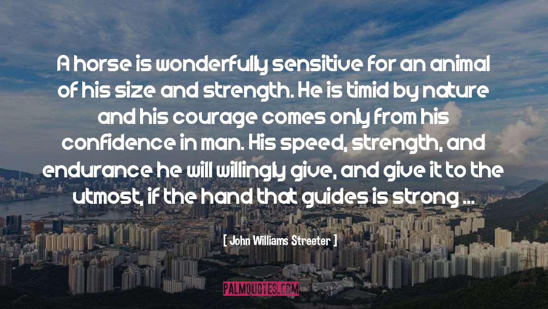 Being Brave Again quotes by John Williams Streeter