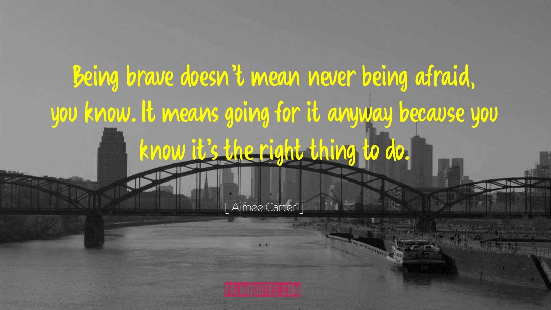 Being Brave quotes by Aimee Carter