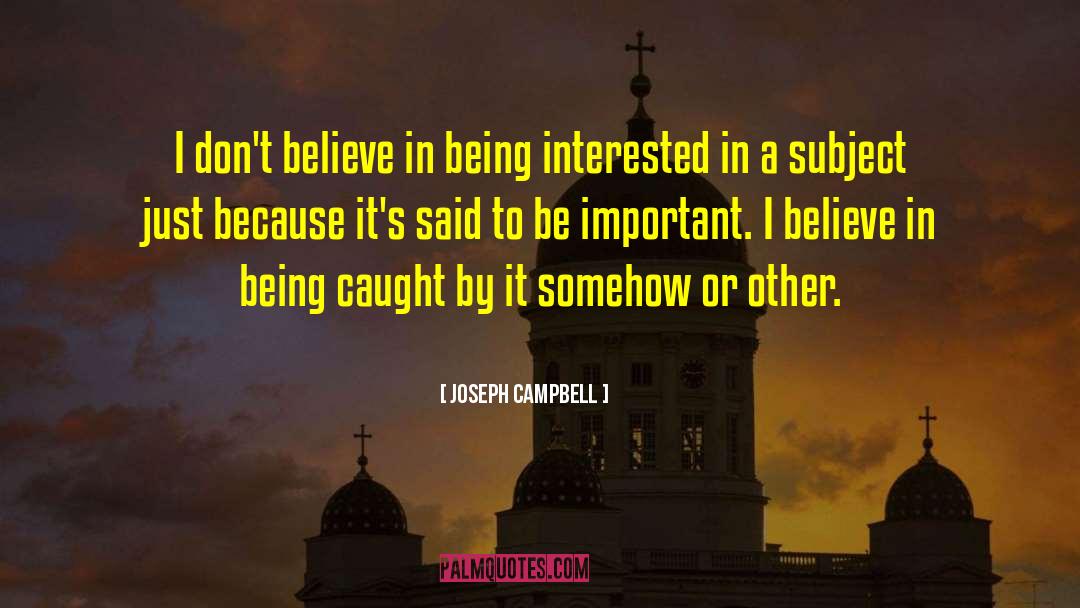 Being Busy quotes by Joseph Campbell