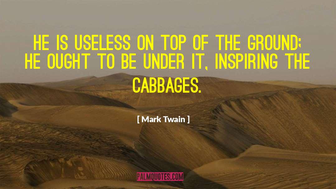 Being Called Useless quotes by Mark Twain