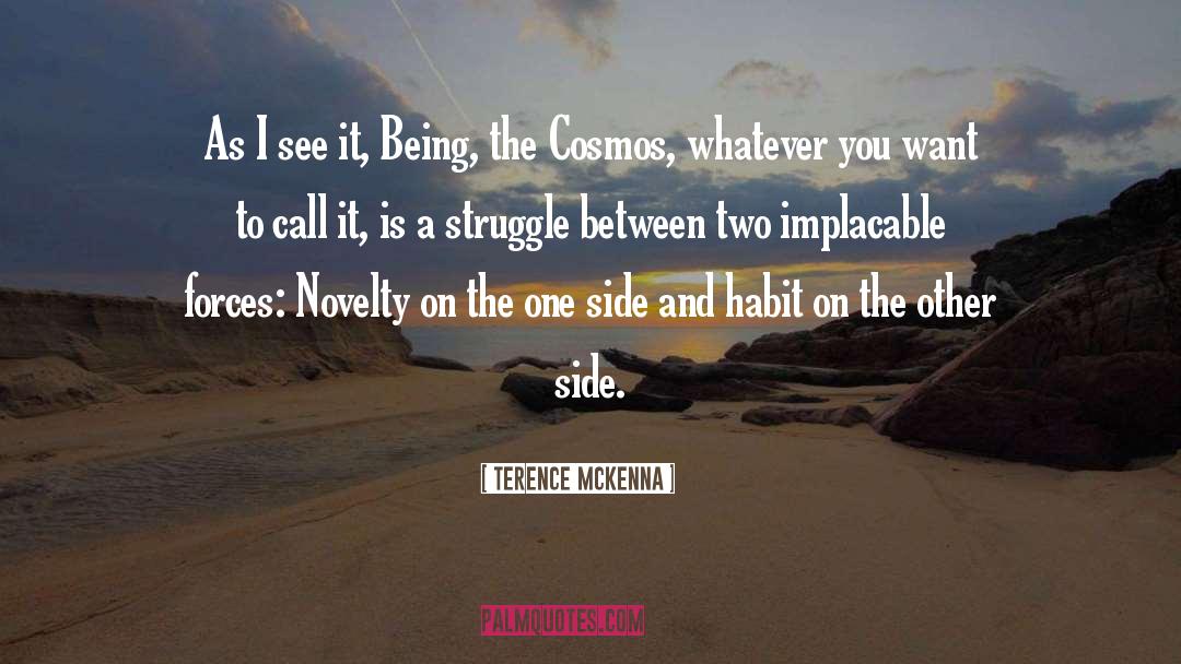 Being Confident quotes by Terence McKenna