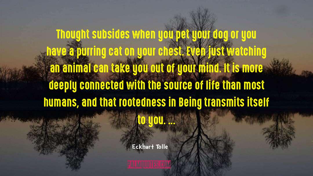 Being Connected To The Universe quotes by Eckhart Tolle