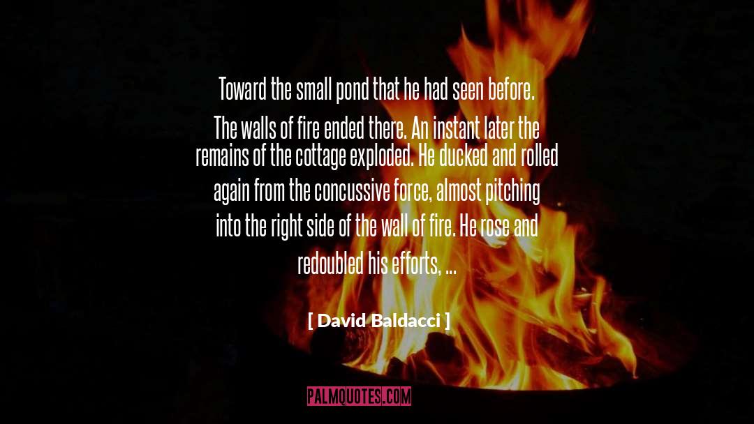 Being Covered quotes by David Baldacci