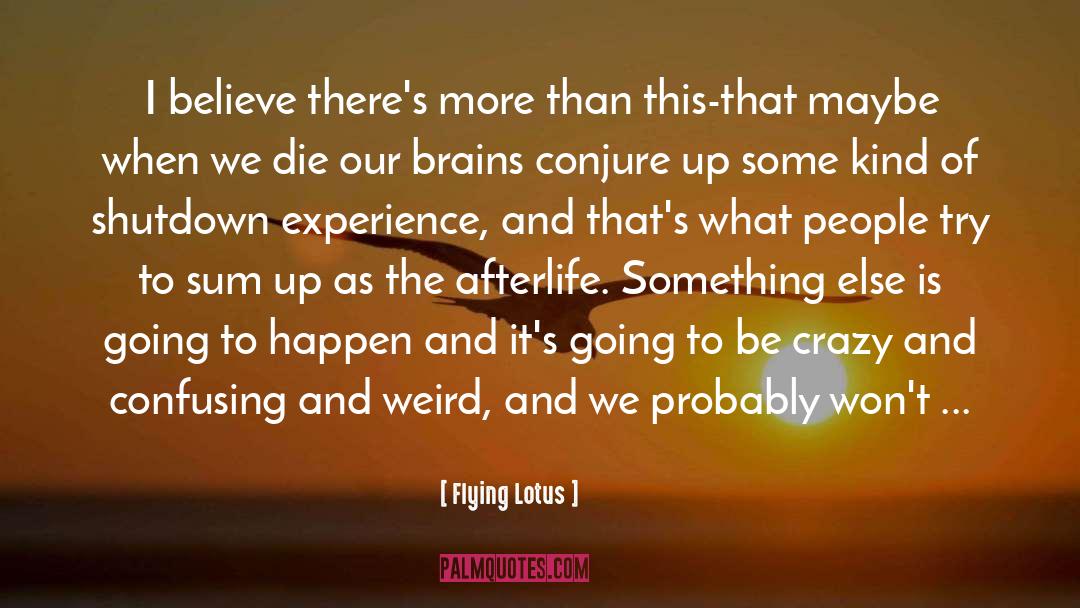 Being Crazy quotes by Flying Lotus