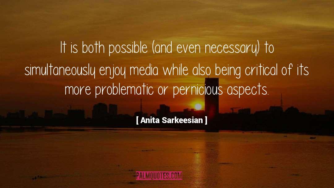 Being Critical quotes by Anita Sarkeesian