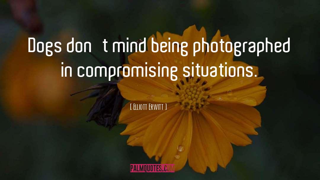 Being Criticized quotes by Elliott Erwitt