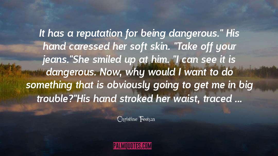 Being Dangerous quotes by Christine Feehan