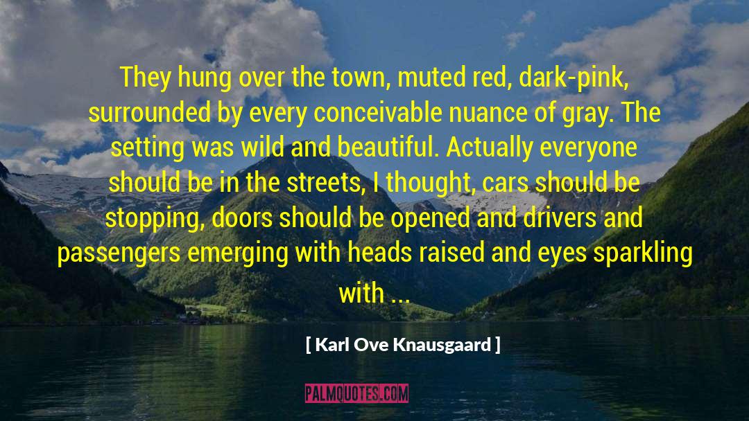 Being Desensitized quotes by Karl Ove Knausgaard
