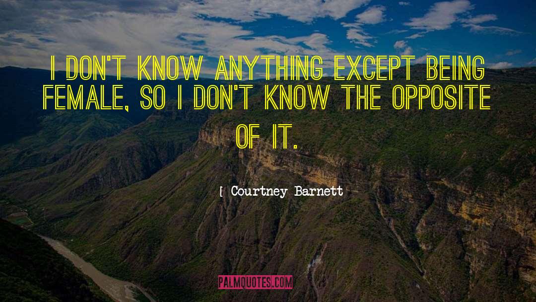 Being Female quotes by Courtney Barnett