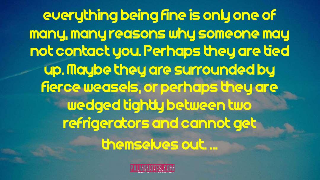 Being Fine quotes by Lemony Snicket