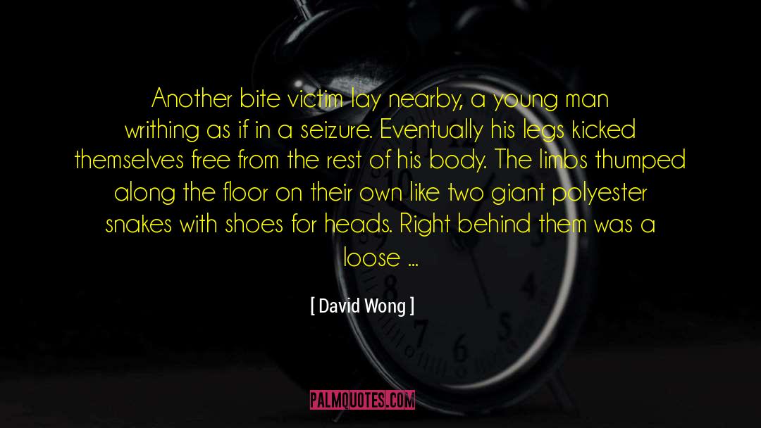 Being Free quotes by David Wong