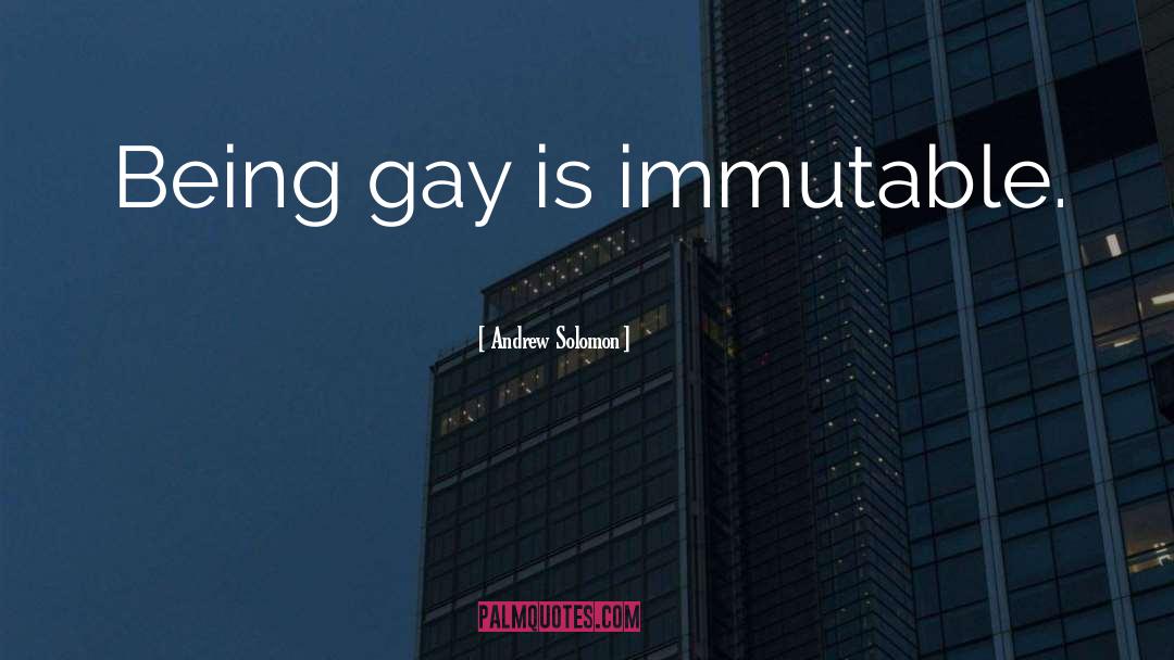 Being Gay quotes by Andrew Solomon