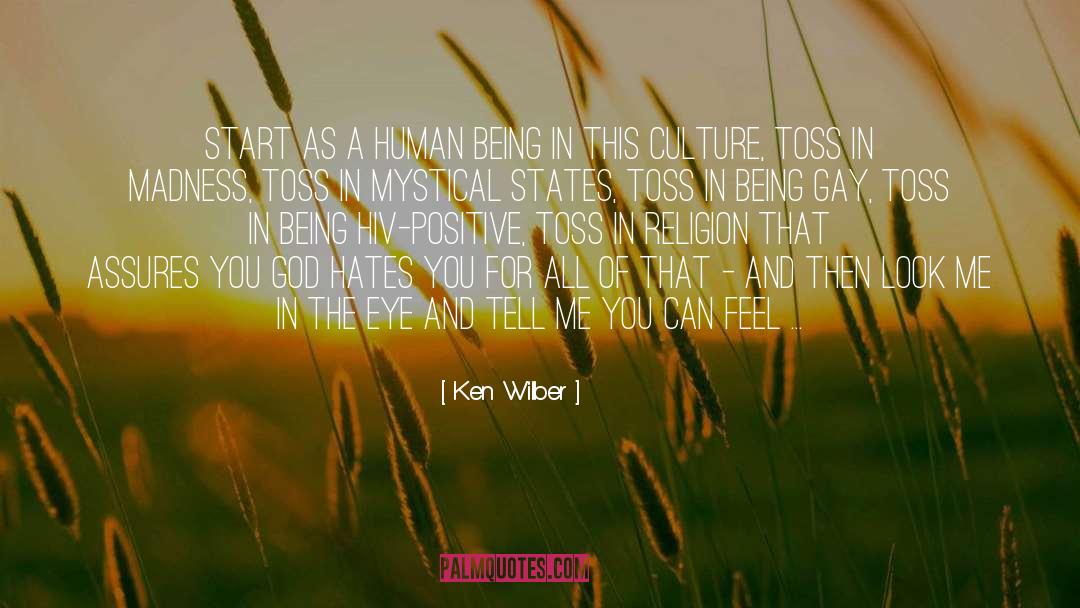 Being Gay quotes by Ken Wilber