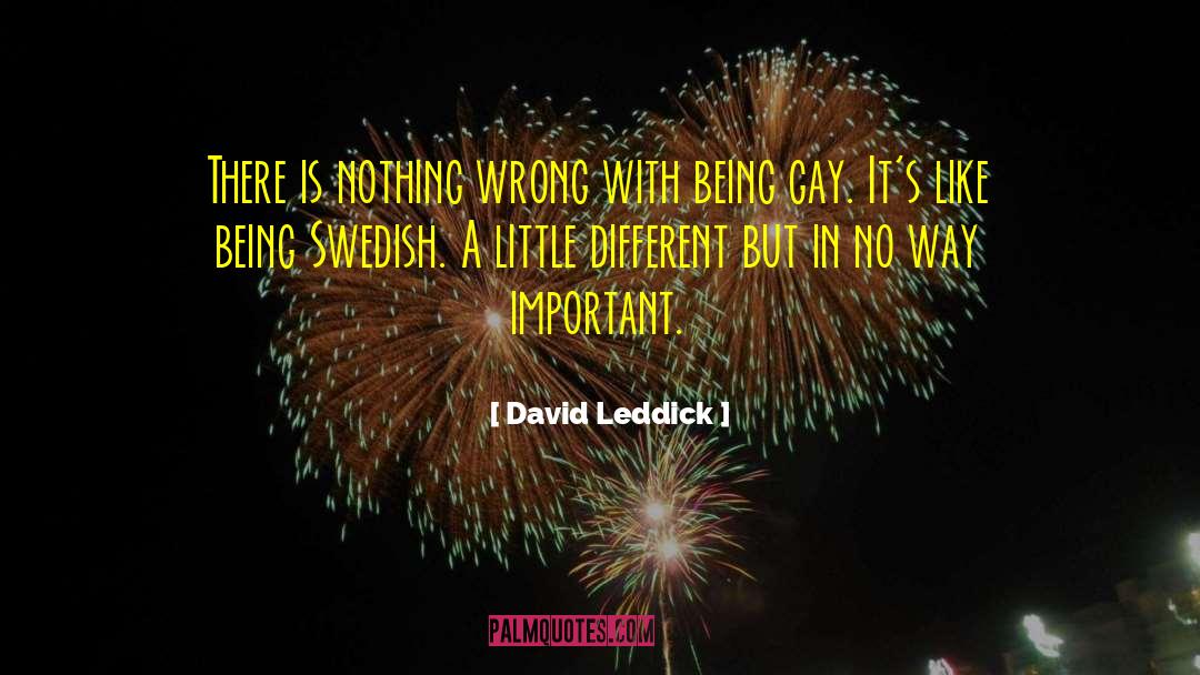 Being Gay quotes by David Leddick