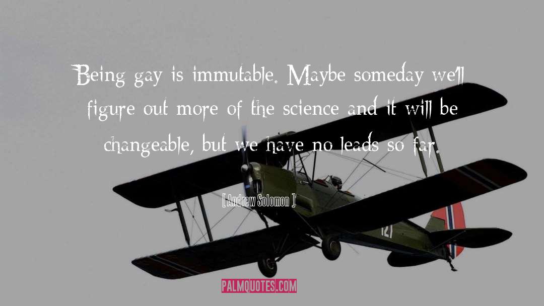 Being Gay quotes by Andrew Solomon