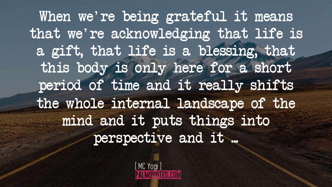 Being Grateful quotes by MC Yogi