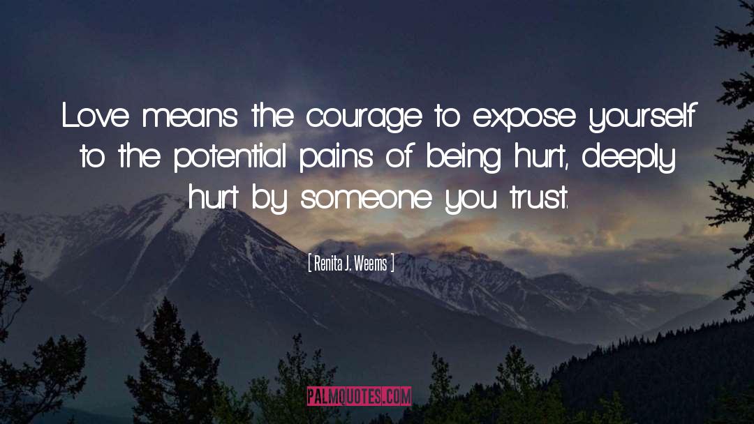 Being Hurt By Someone You Like quotes by Renita J. Weems
