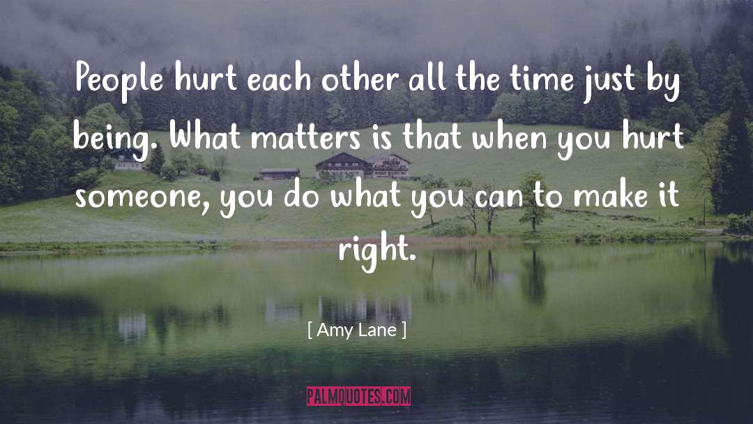 Being Hurt By Someone You Like quotes by Amy Lane