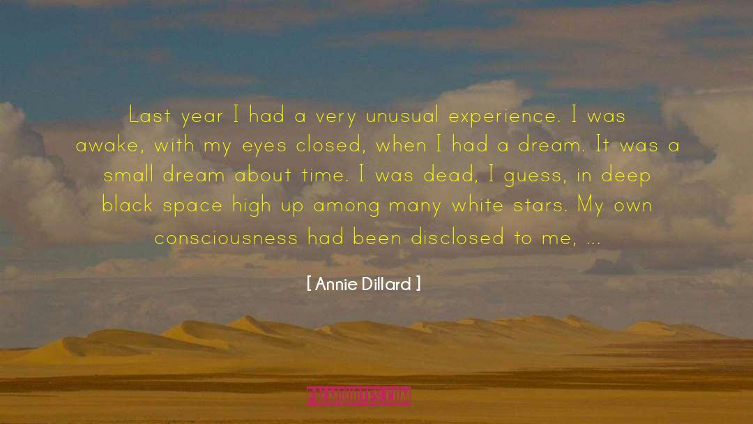 Being In The Past quotes by Annie Dillard