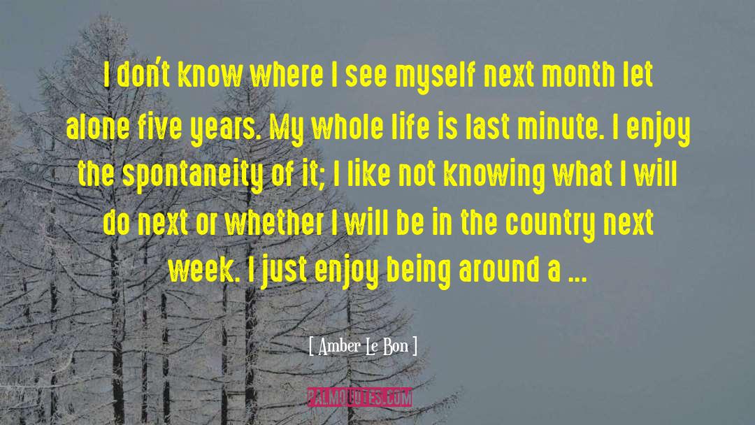 Being In The Past quotes by Amber Le Bon