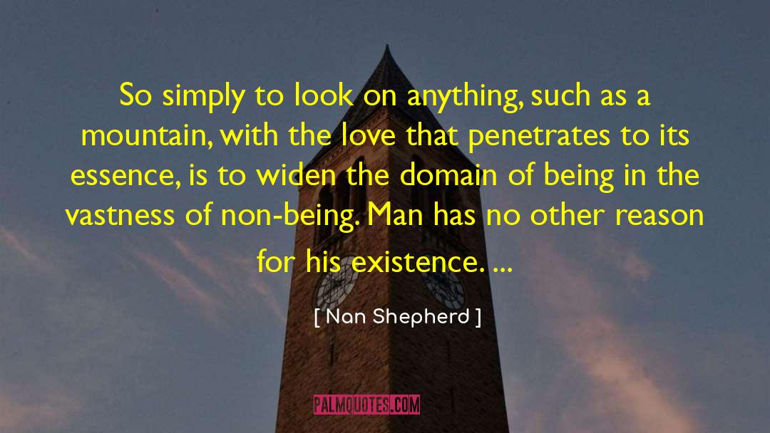 Being In The Past quotes by Nan Shepherd