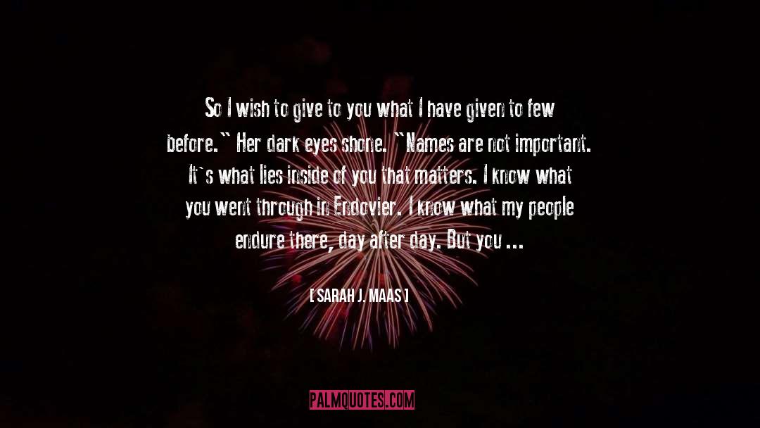 Being Invisible To People quotes by Sarah J. Maas