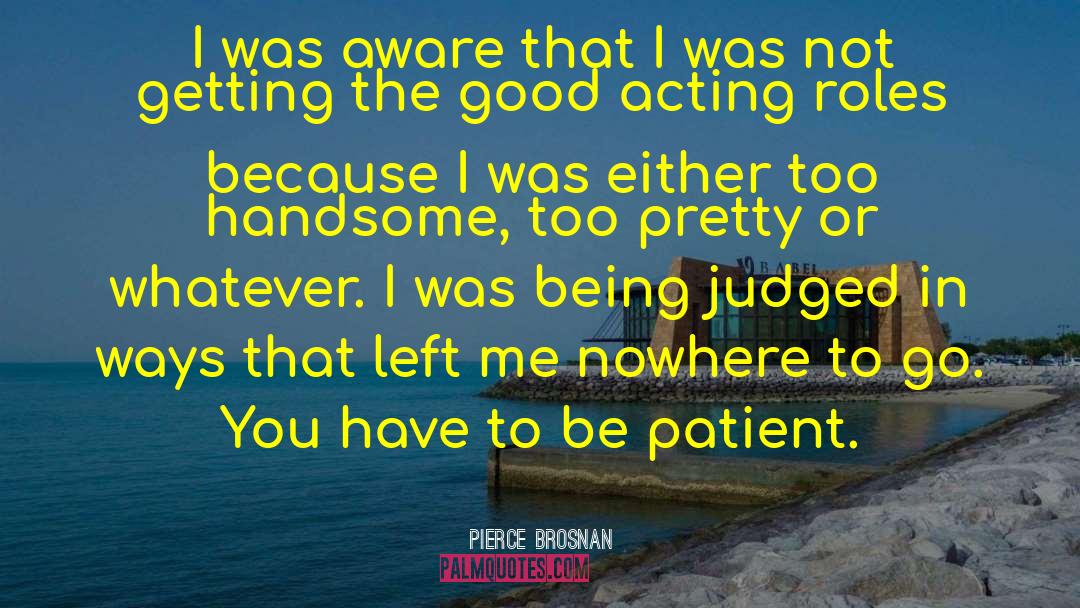 Being Judged quotes by Pierce Brosnan