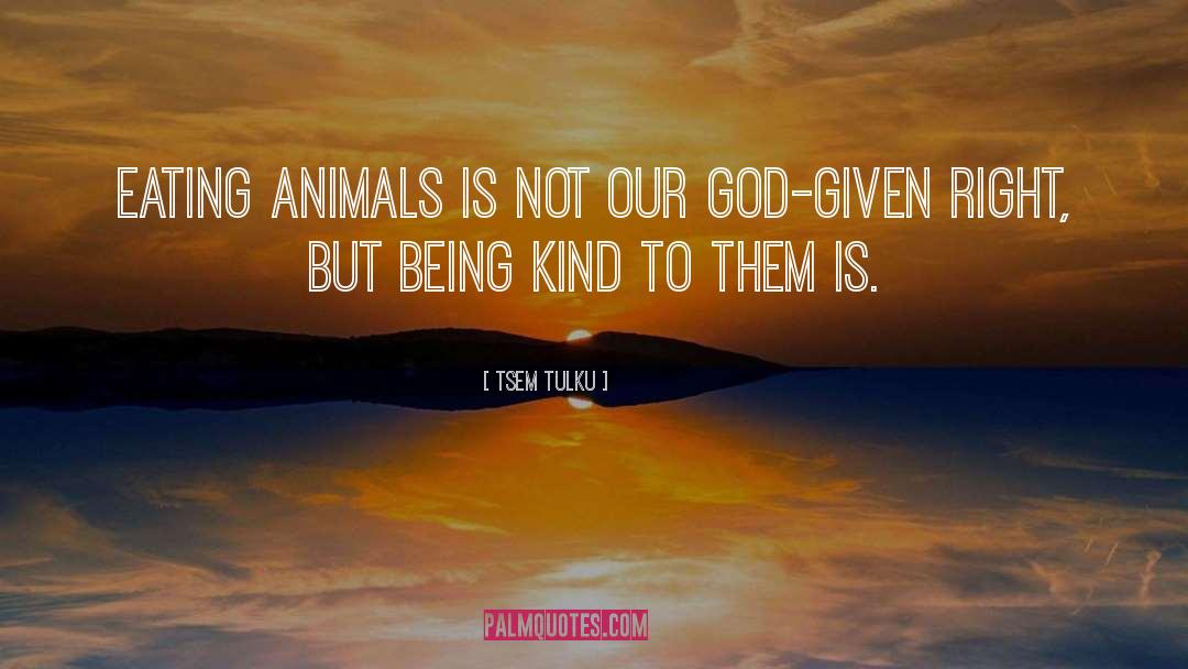 Being Kind quotes by Tsem Tulku