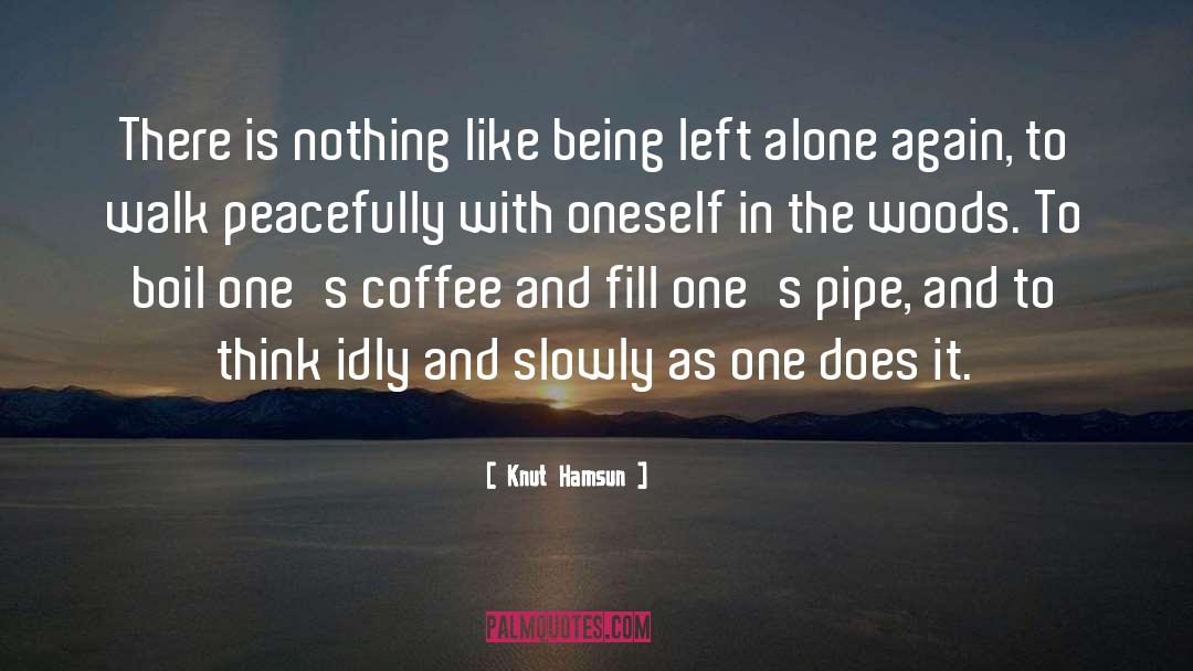 Being Left quotes by Knut Hamsun
