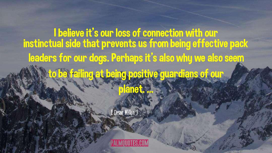 Being Lied quotes by Cesar Millan