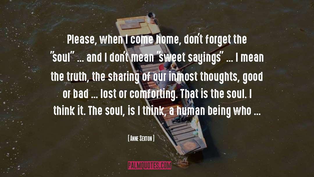 Being Lost And Confused quotes by Anne Sexton