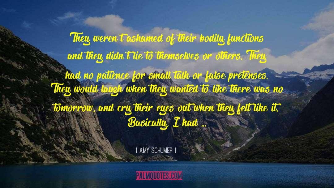 Being Lost For Words quotes by Amy Schumer