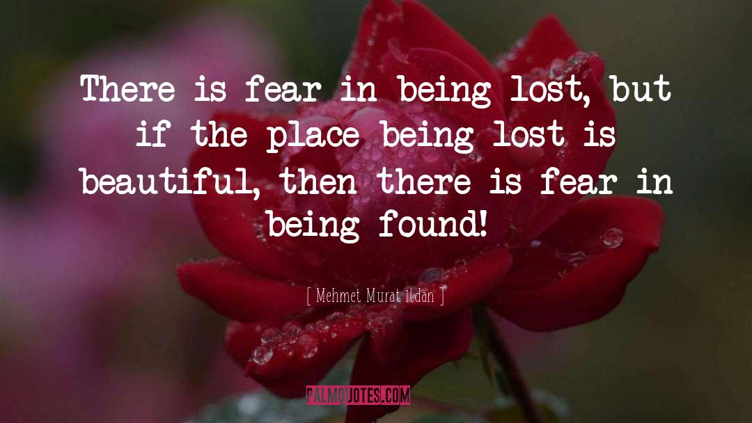 Being Lost quotes by Mehmet Murat Ildan