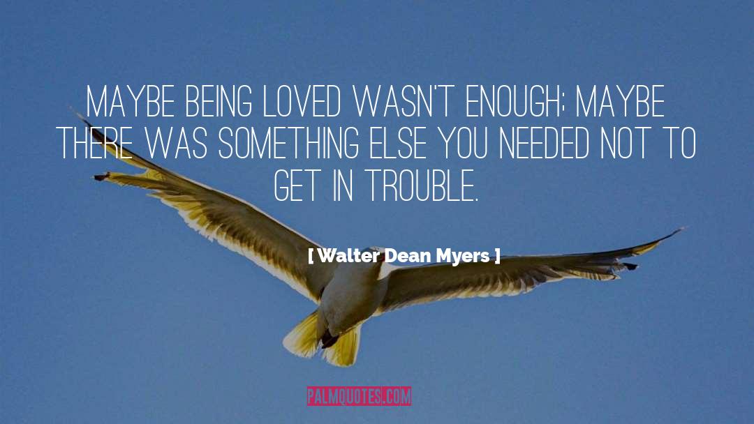 Being Loved quotes by Walter Dean Myers