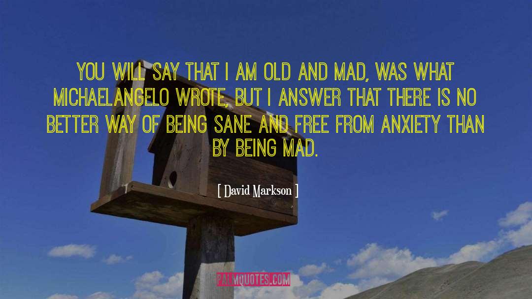 Being Mad quotes by David Markson