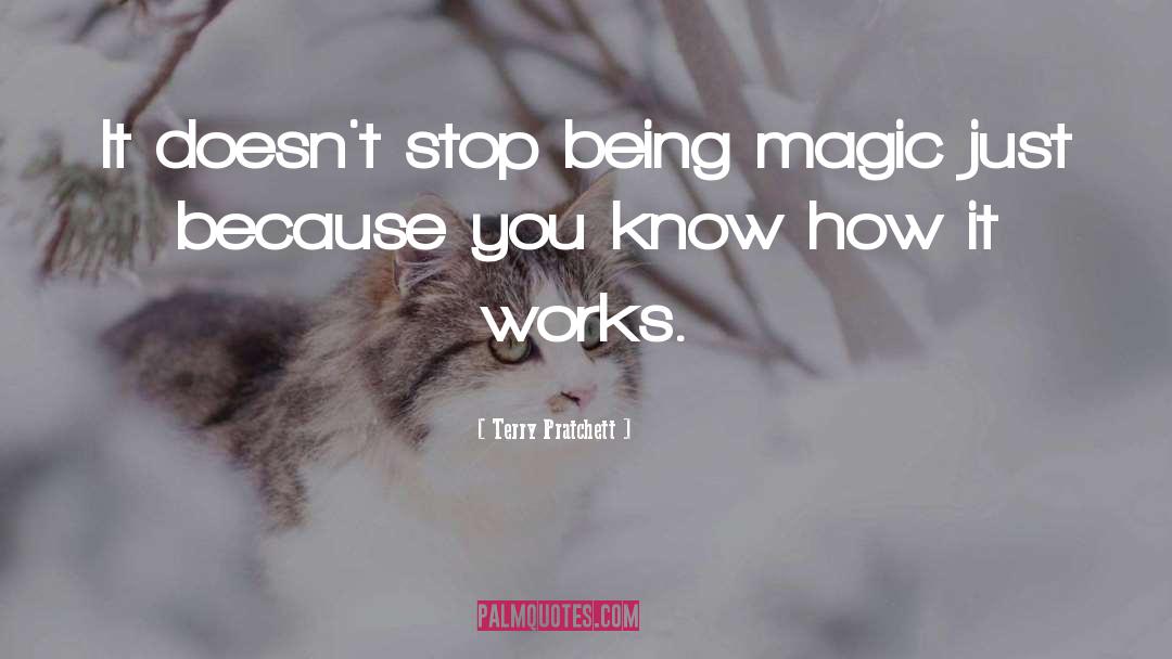 Being Magic quotes by Terry Pratchett