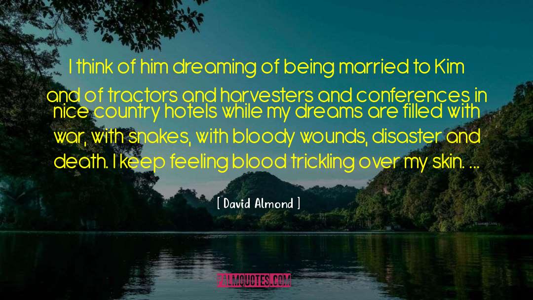 Being Married quotes by David Almond
