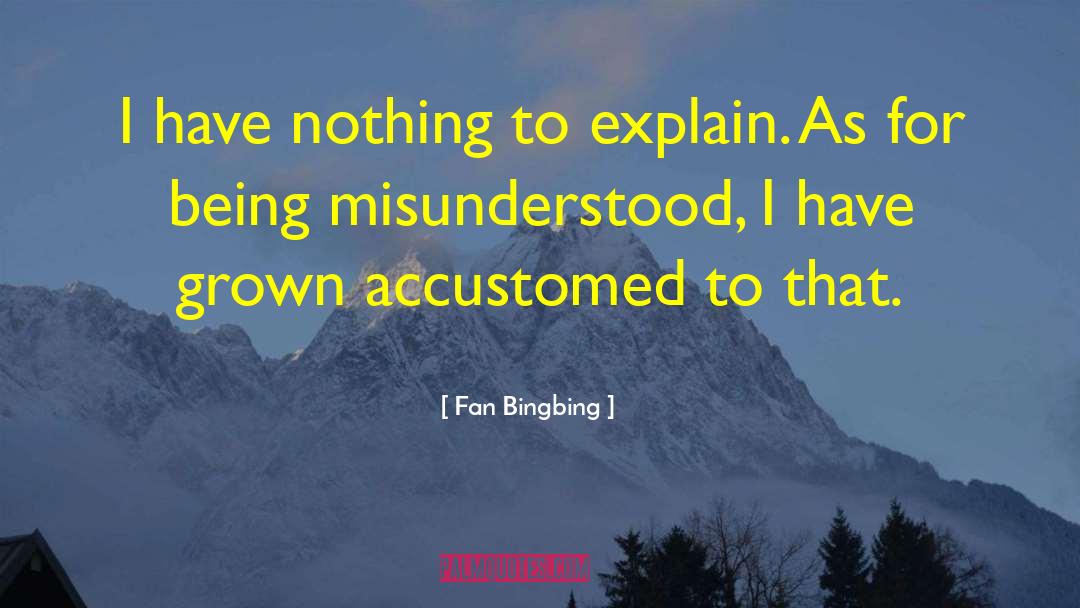 Being Misunderstood quotes by Fan Bingbing