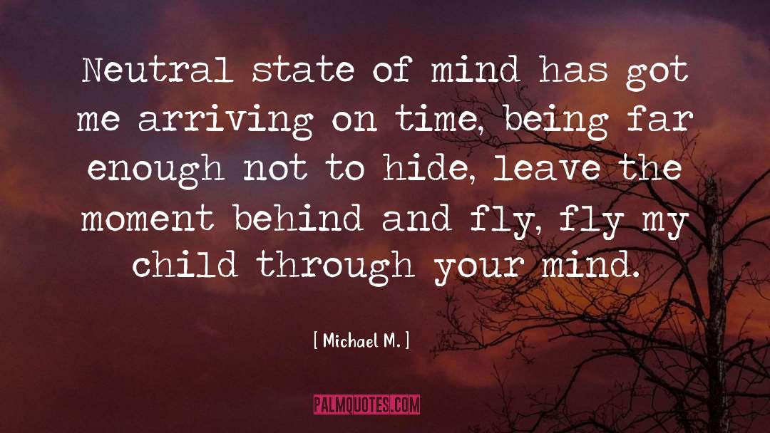 Being Neutral In Politics quotes by Michael M.