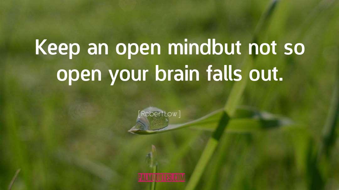 Being Open Minded quotes by Robert Low