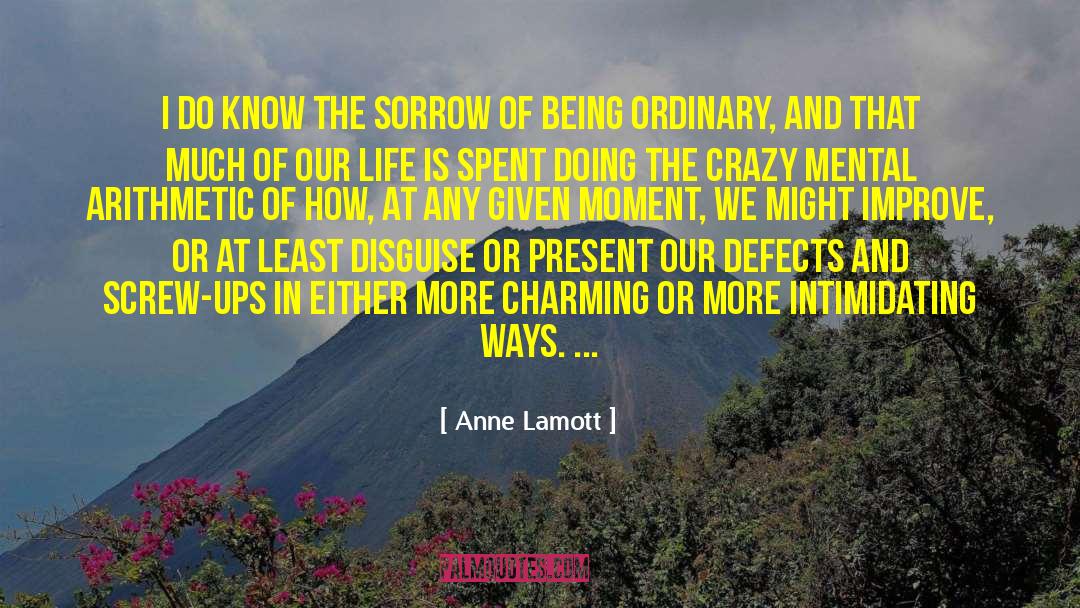 Being Ordinary quotes by Anne Lamott