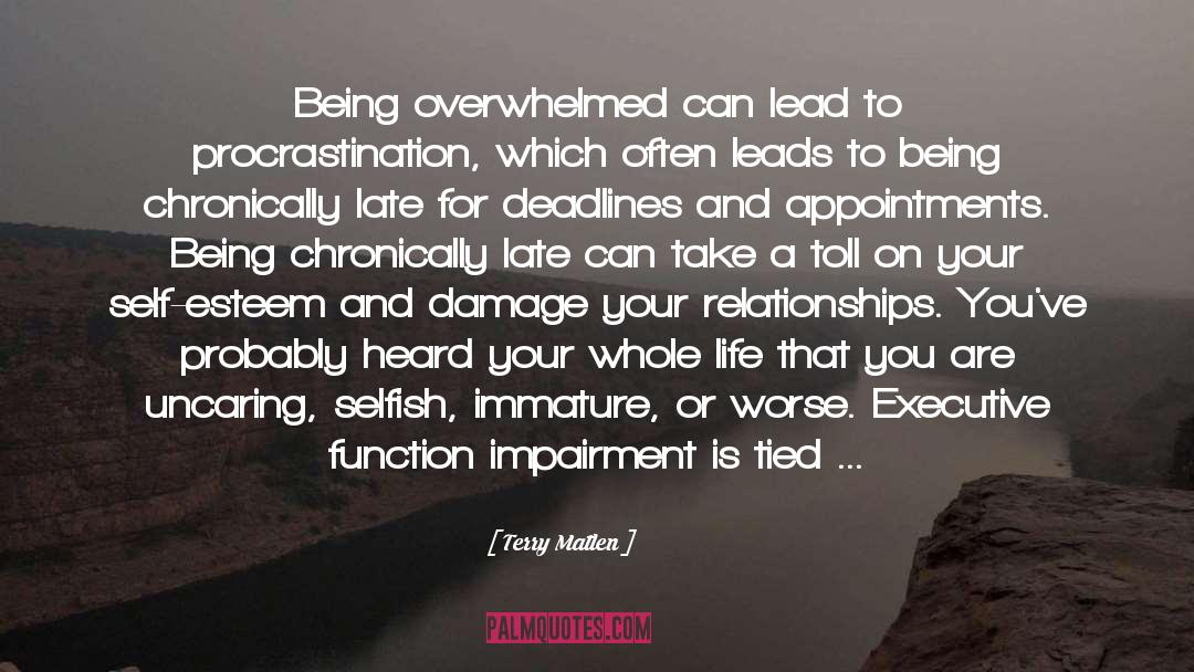 Being Overwhelmed quotes by Terry Matlen