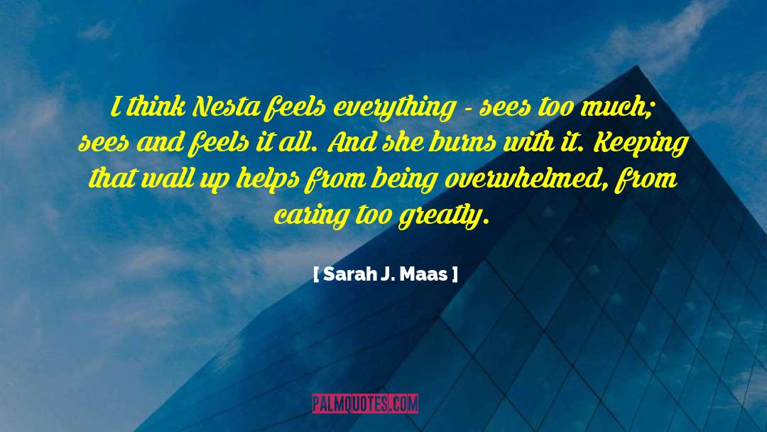 Being Overwhelmed quotes by Sarah J. Maas