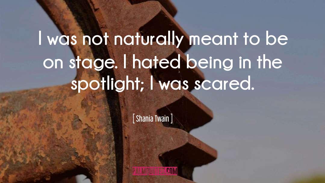 Being Popular quotes by Shania Twain