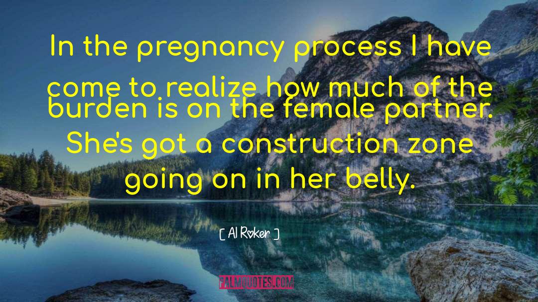 Being Pregnant quotes by Al Roker