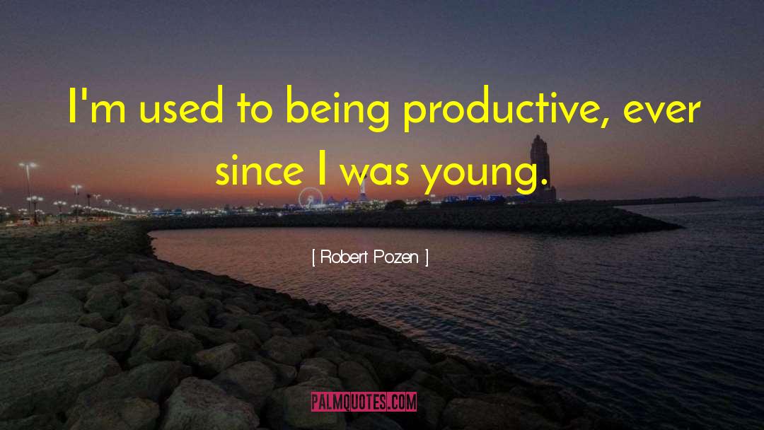 Being Productive quotes by Robert Pozen