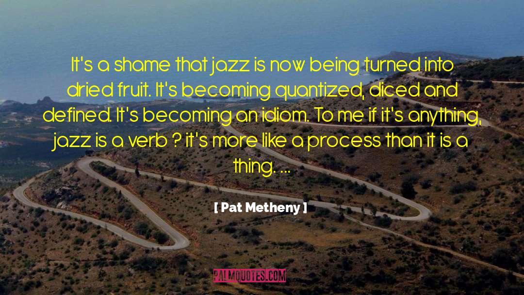 Being Proud quotes by Pat Metheny