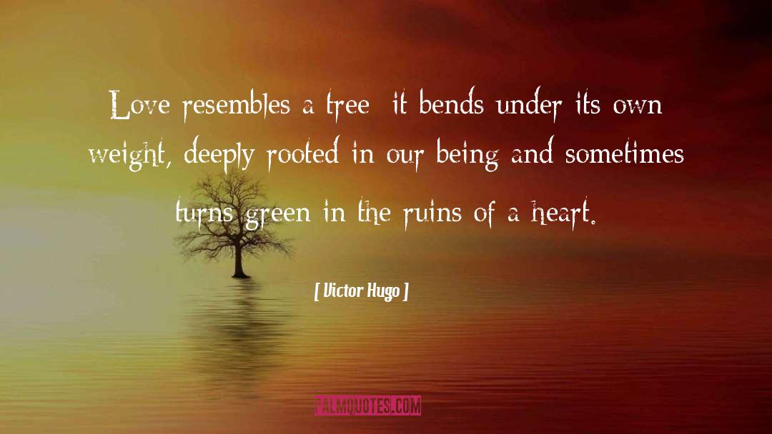 Being Proud quotes by Victor Hugo