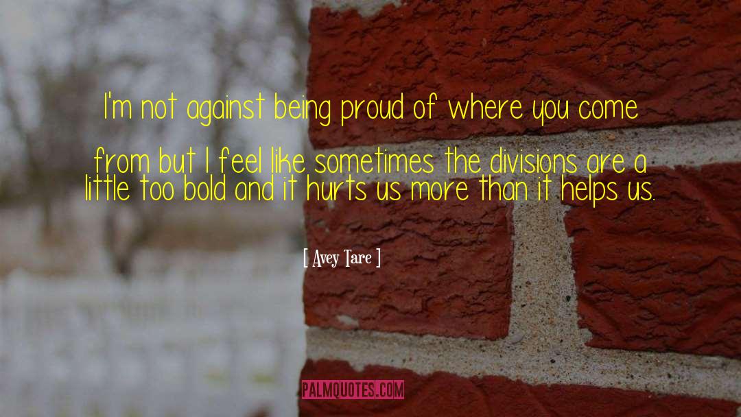 Being Proud quotes by Avey Tare