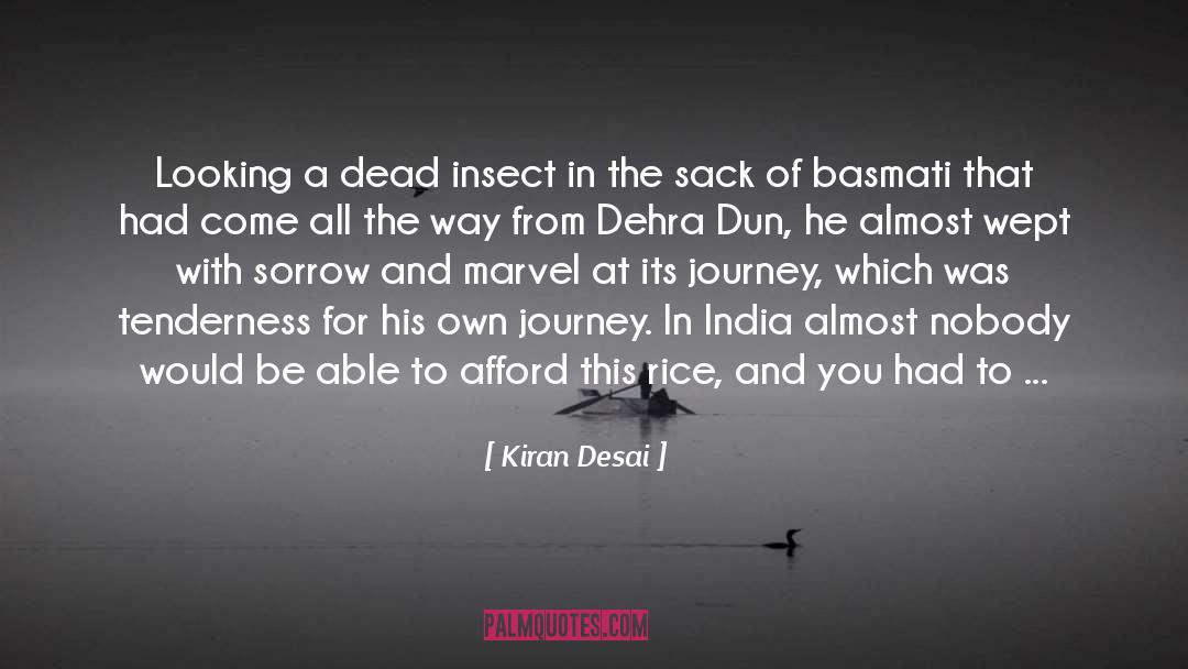 Being Rich quotes by Kiran Desai